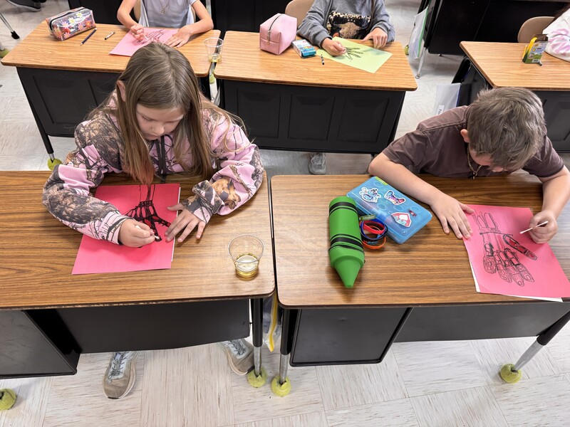 3rd Grade Science Activity