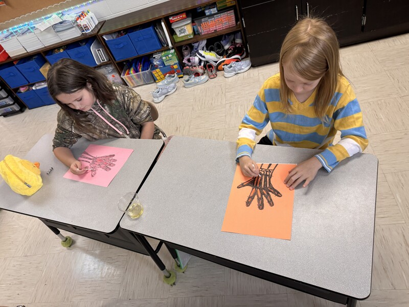 3rd Grade Science Activity