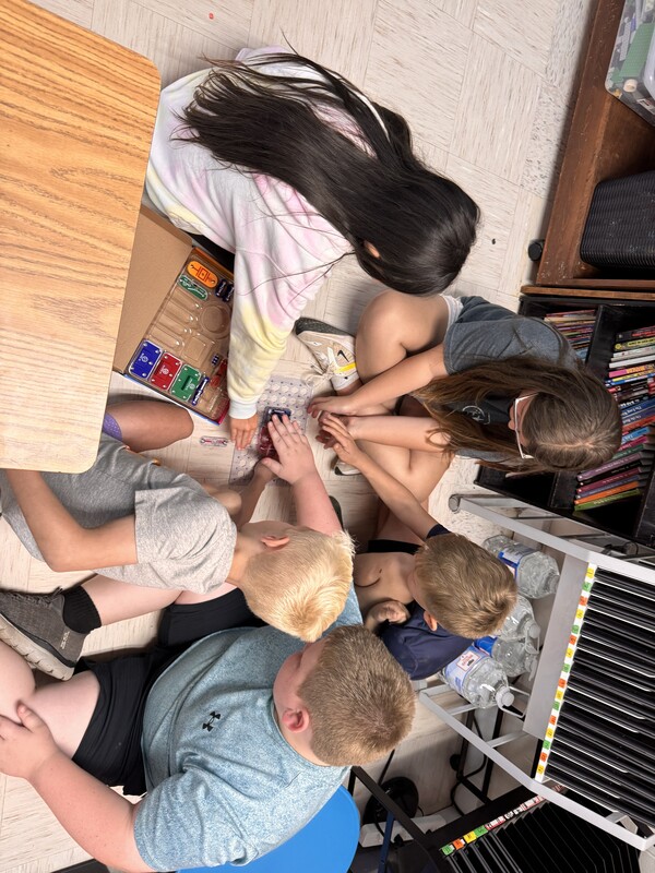 3rd Grade Science Activity