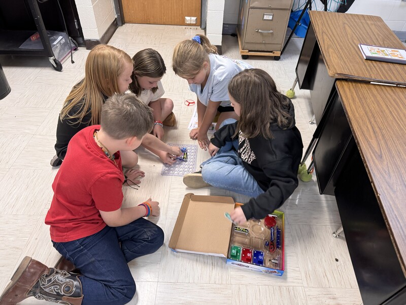 3rd Grade Science Activity