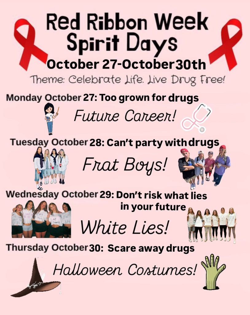 Secondary Dress Up Days