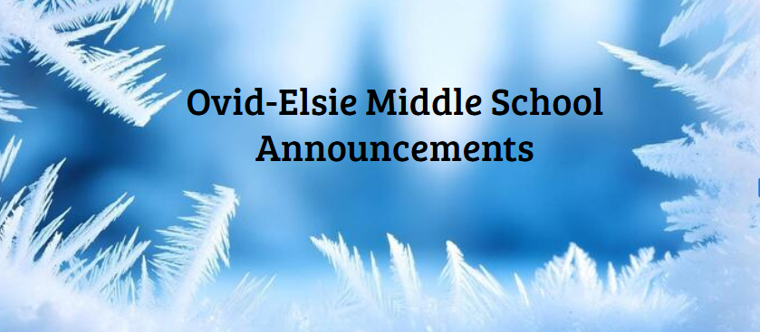 lindsey.reha@ovidelsie.org