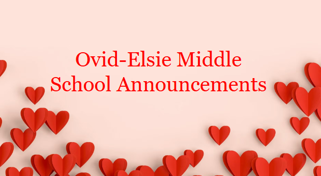 lindsey.reha@ovidelsie.org