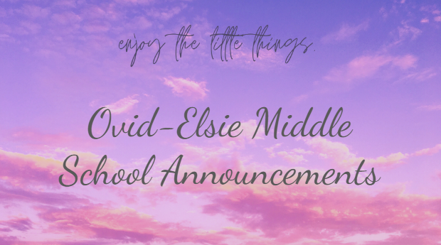 lindsey.reha@ovidelsie.org