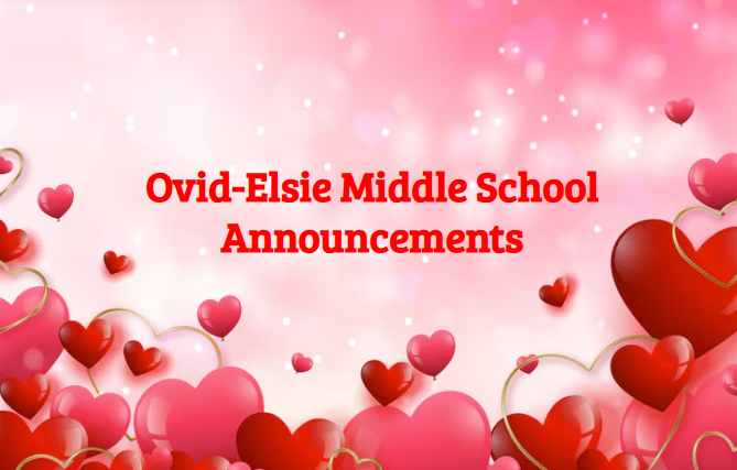 lindsey.reha@ovidelsie.org