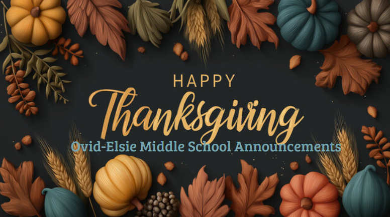 lindsey.reha@ovidelsie.org