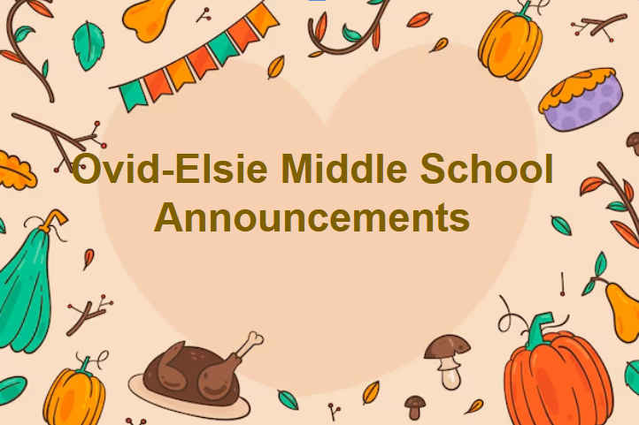 lindsey.reha@ovidelsie.org