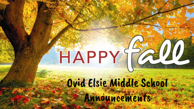 lindsey.reha@ovidelsie.org