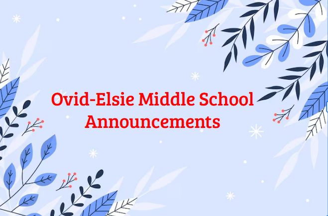 lindsey.reha@ovidelsie.org