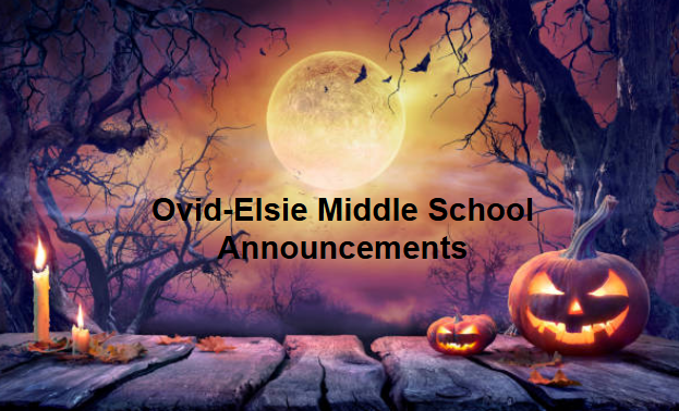lindsey.reha@ovidelsie.org
