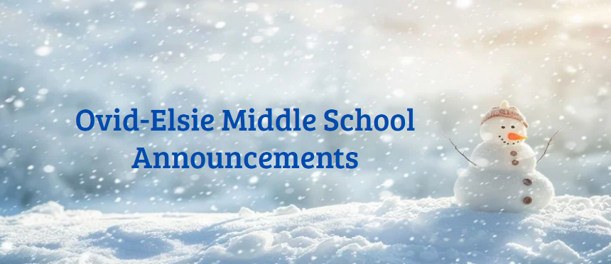 lindsey.reha@ovidelsie.org