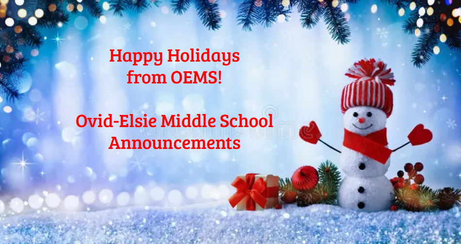 lindsey.reha@ovidelsie.org