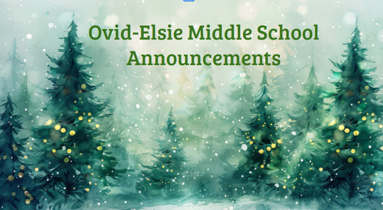 lindsey.reha@ovidelsie.org