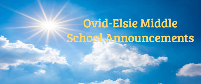 lindsey.reha@ovidelsie.org