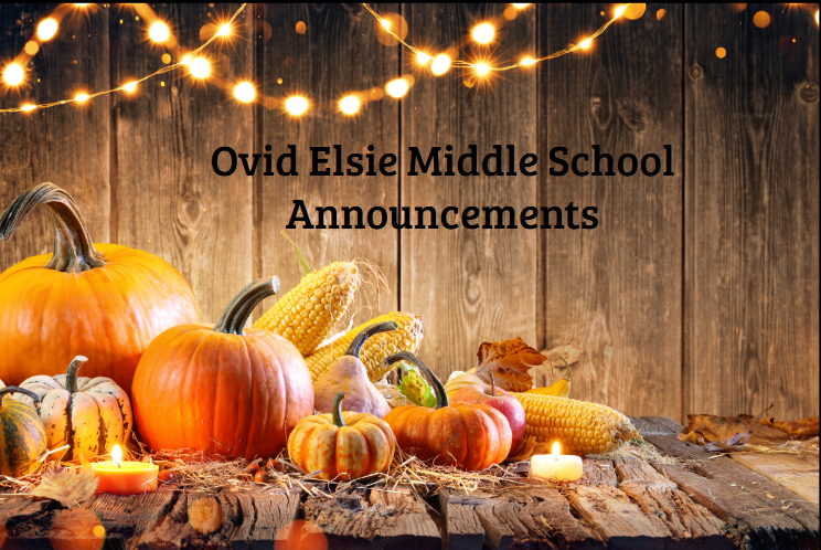 lindsey.reha@ovidelsie.org