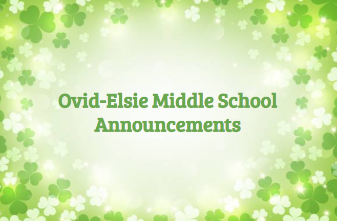 lindsey.reha@ovidelsie.org