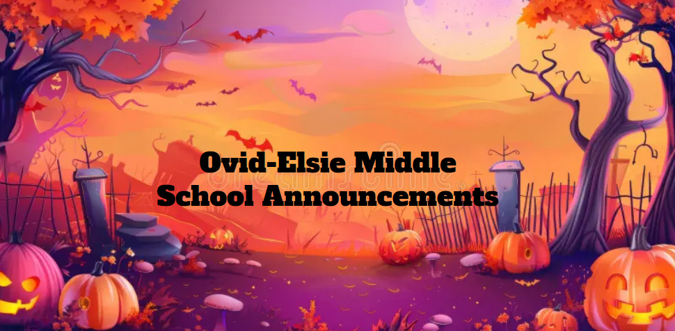 lindsey.reha@ovidelsie.org