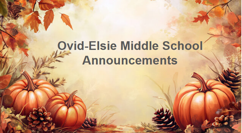 lindsey.reha@ovidelsie.org