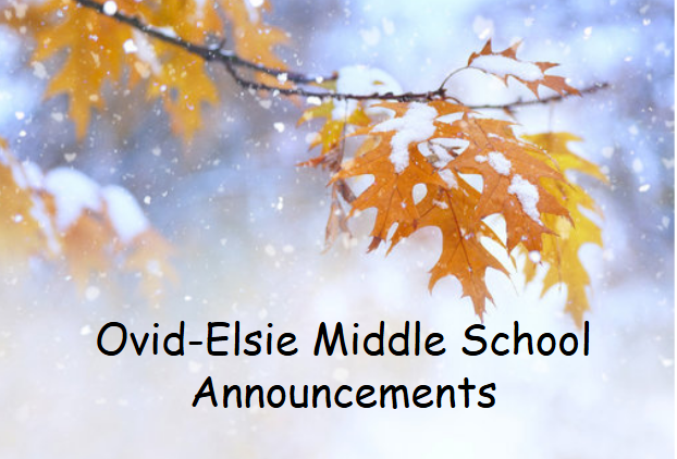 lindsey.reha@ovidelsie.org