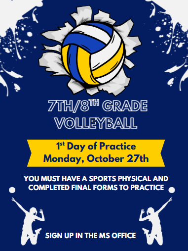 Volleyball