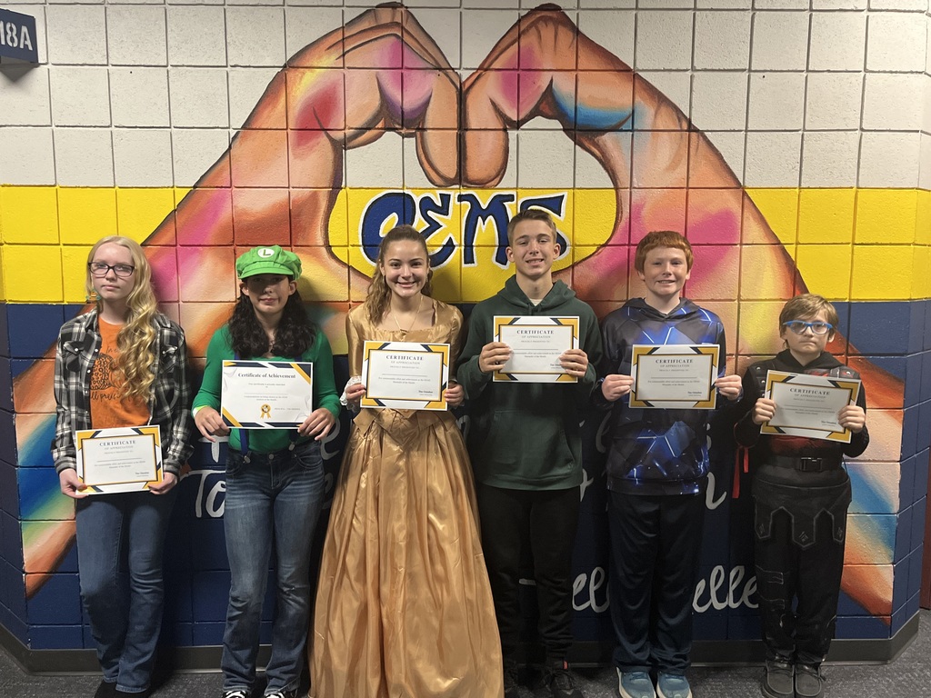 lindsey.reha@ovidelsie.org