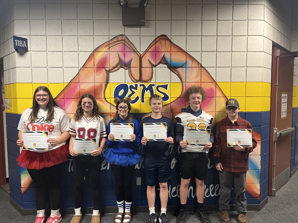 lindsey.reha@ovidelsie.org