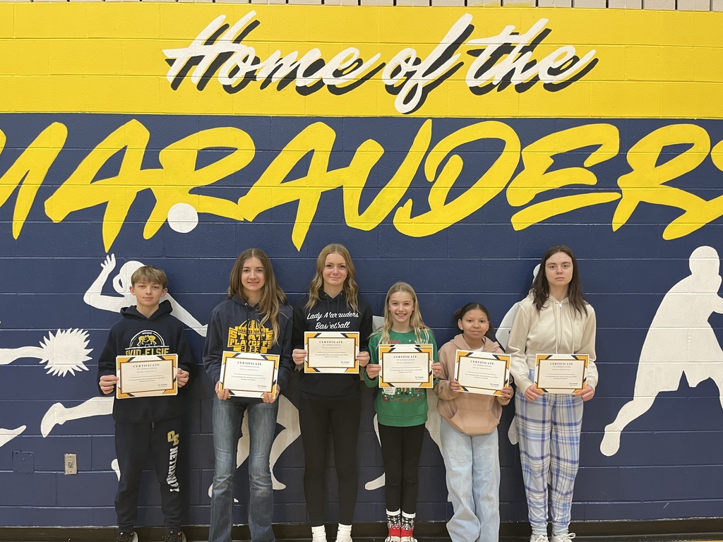 lindsey.reha@ovidelsie.org