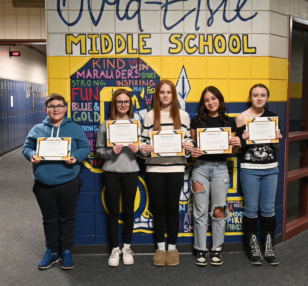 lindsey.reha@ovidelsie.org