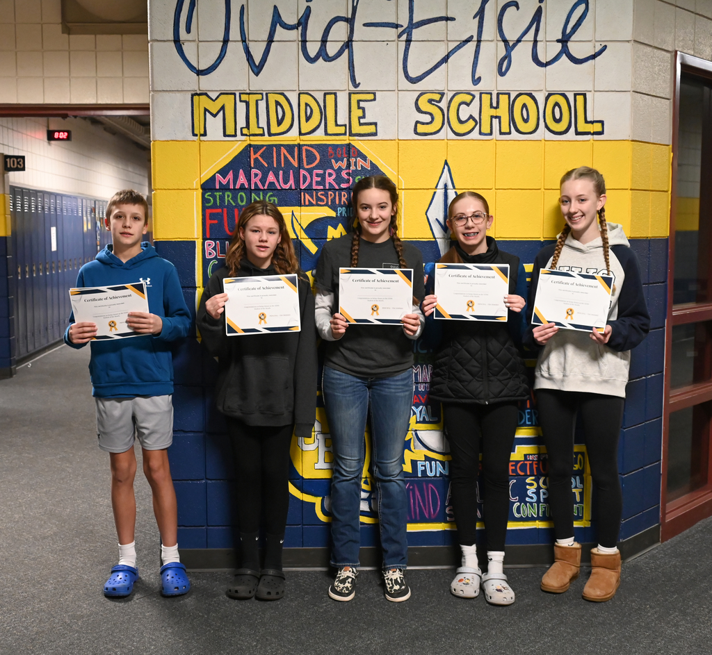 lindsey.reha@ovidelsie.org