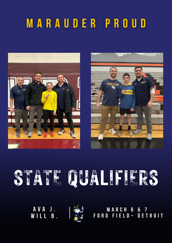 state qualifiers 3/4/26