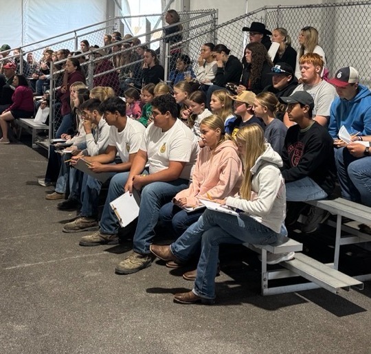 FFA at Fair