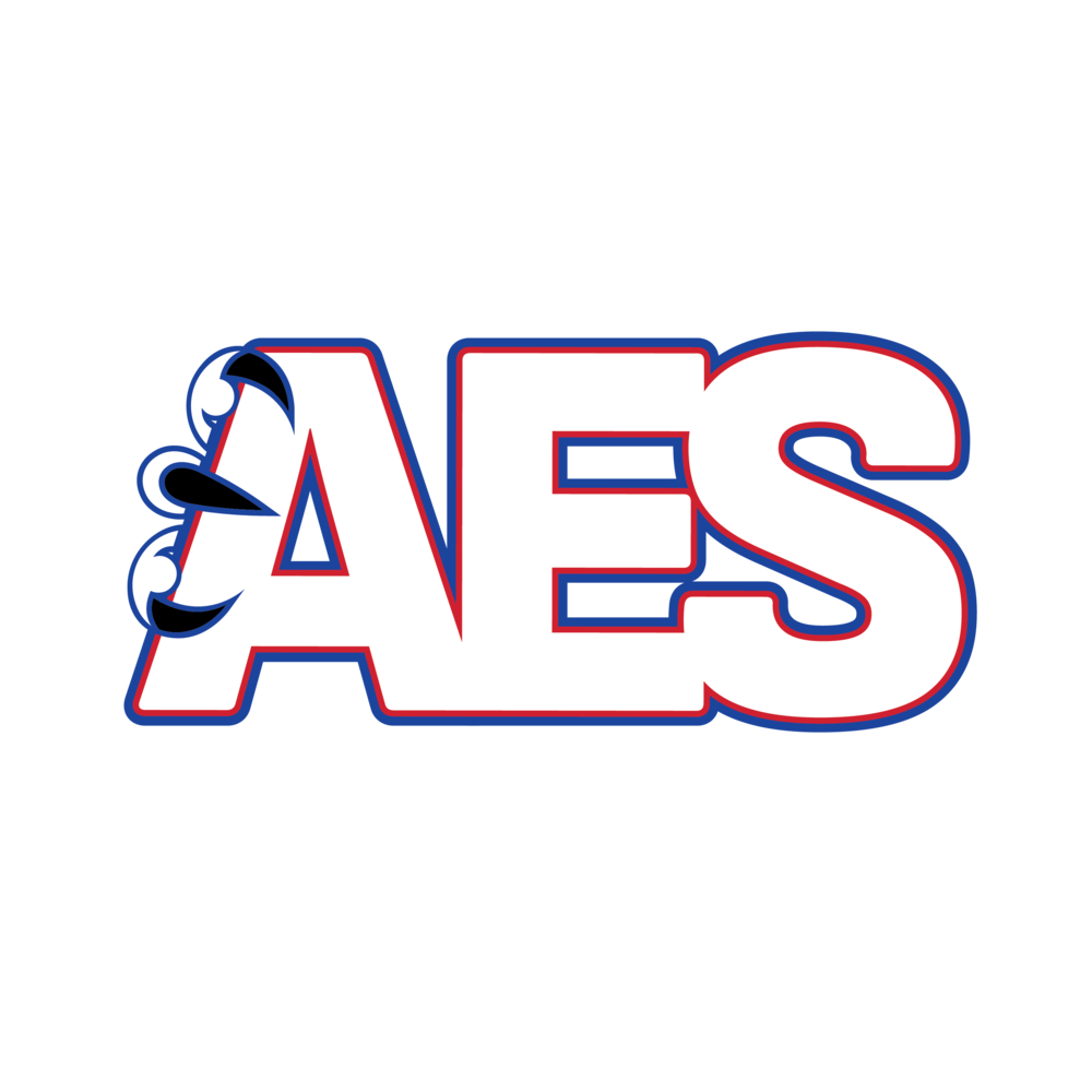 AES LOGO