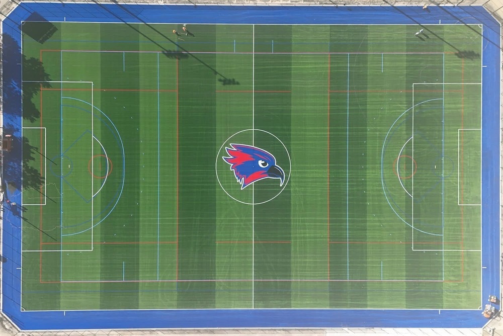 Multi Purpose Field Image