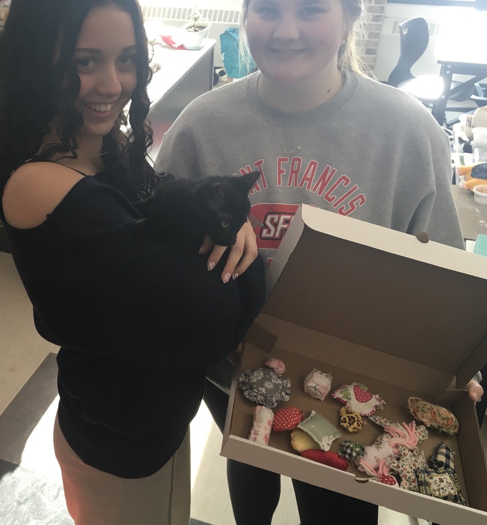 Kitten Toy Donation Image