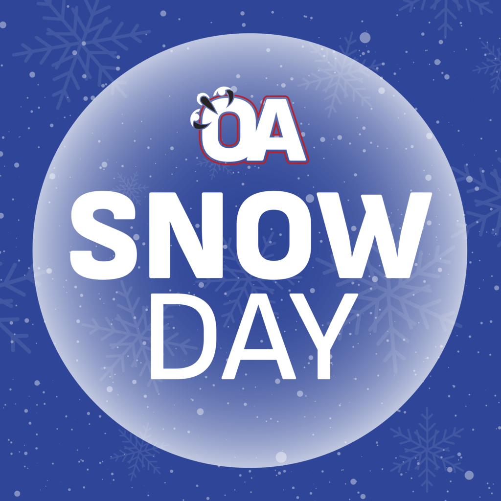 Snow Day Image