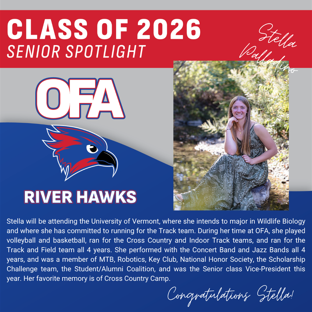 Palladino Senior Graphic