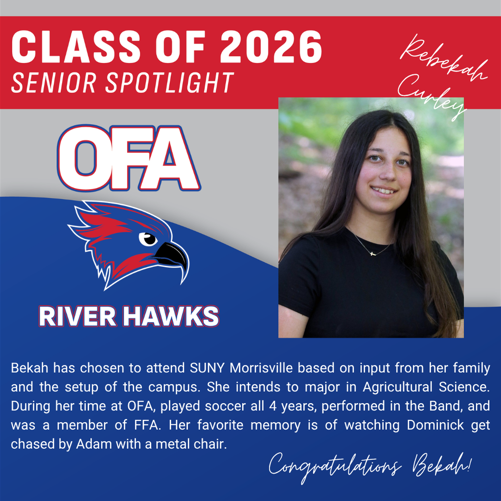 Curley Senior Graphic