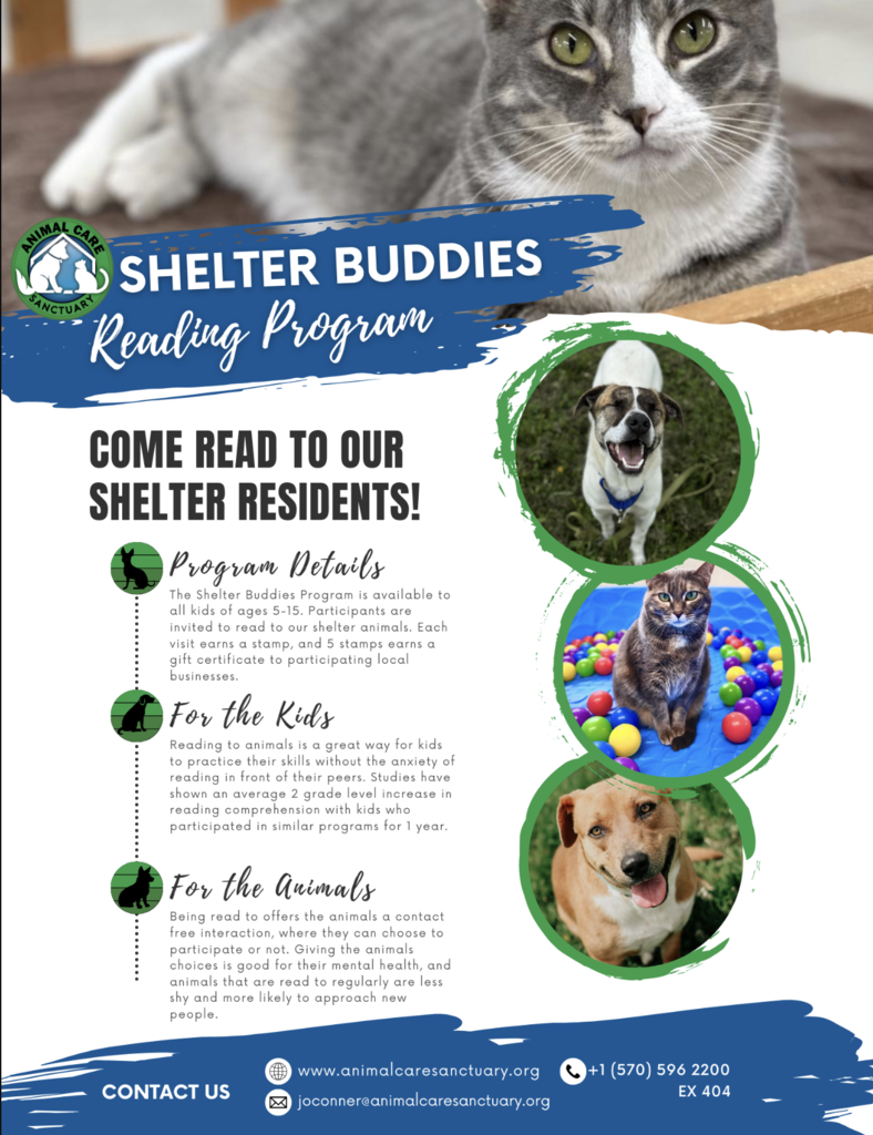 Shelter Buddies Flyer