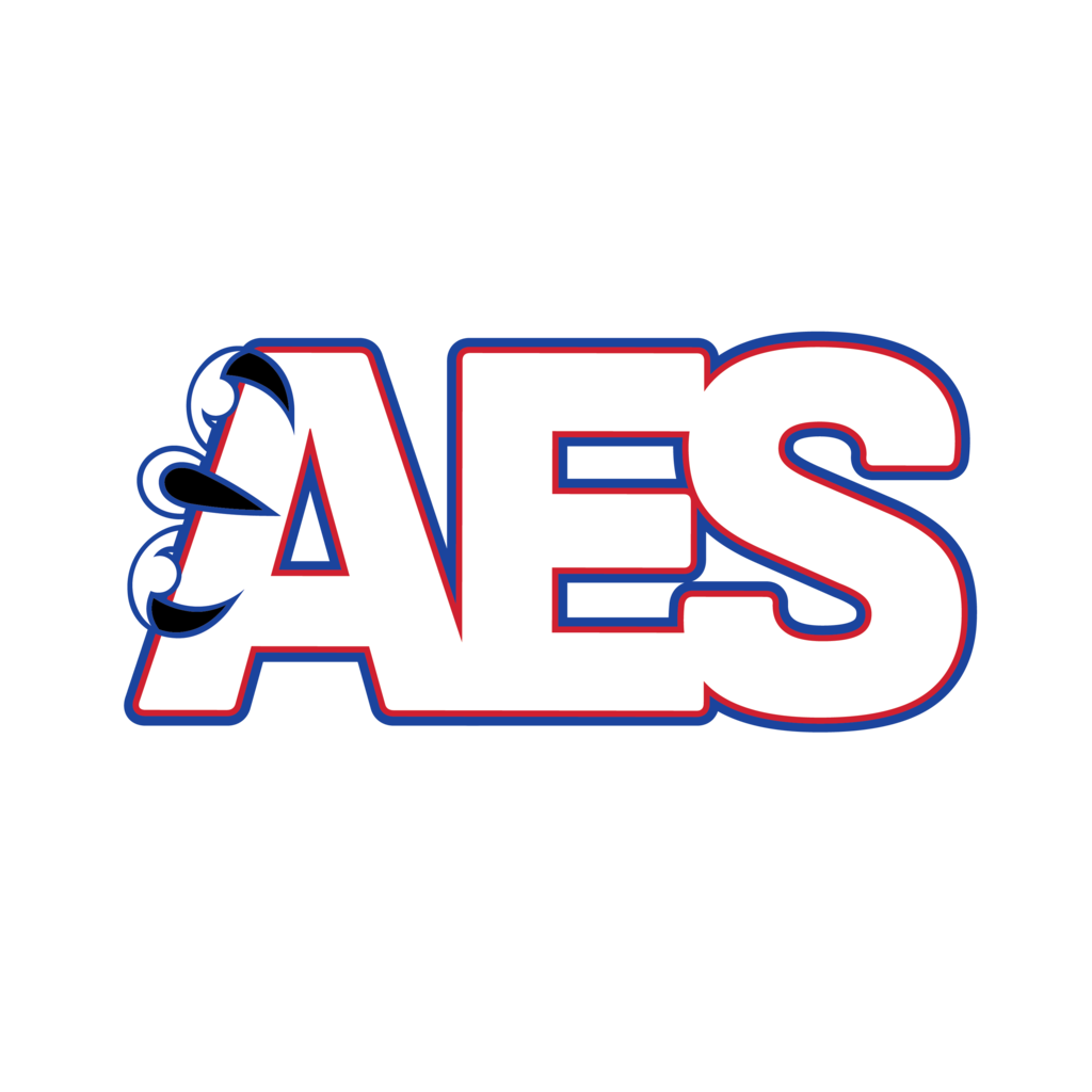 aes logo