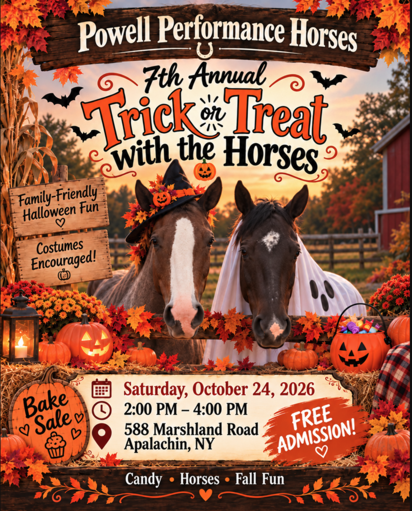 Powell Performance Horse Flyer
