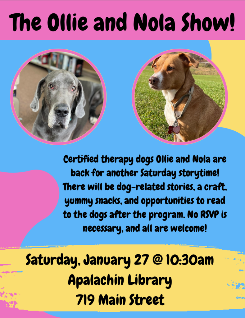 Apalachin Library Storytime