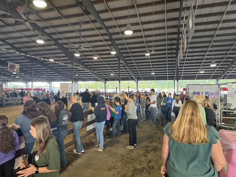 FFA at Fair