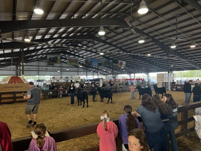 FFA at Fair