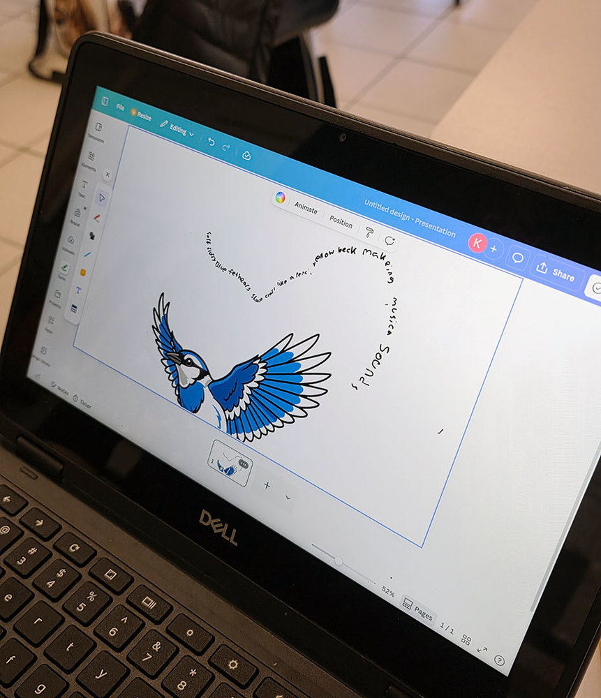 an image of a blue jay with words flowing around the wings is visible on a laptop screen