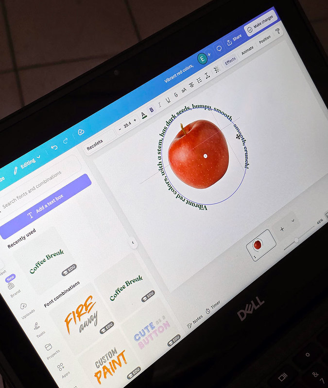 a laptop screen with a photo of an apple surrounded by a poem