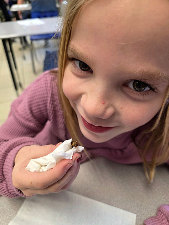 A student holds a bug in  a paper napkin