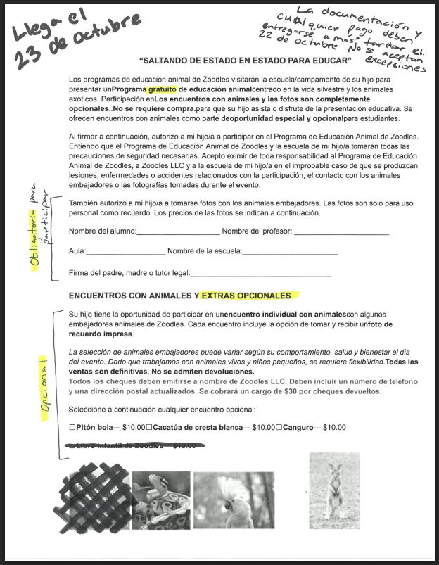 Zoodles 10/23 (spanish)