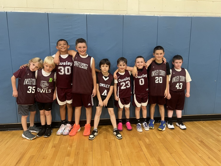 Owls 4th Grade