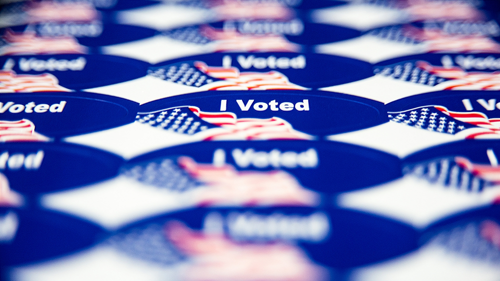 Decorative Image - I Voted Stickers