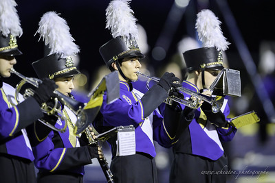 Wheaton_C_disk b DSC_6815-S